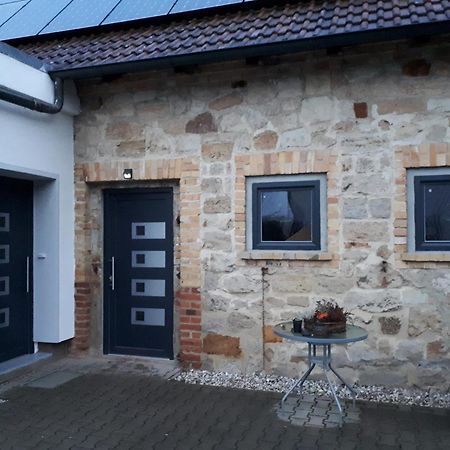 Ferienwohnung Gaensebluemchen Wartenburg Екстер'єр фото