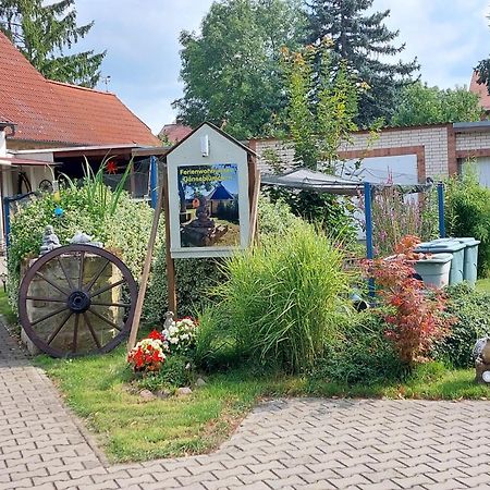 Ferienwohnung Gaensebluemchen Wartenburg Екстер'єр фото